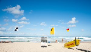 Australian beach migration Ausvisto